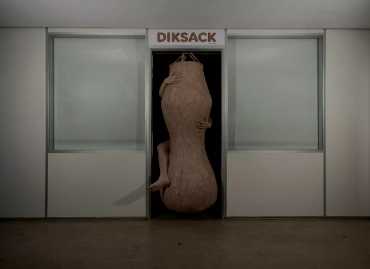 Tjue Hermse - Dicksack